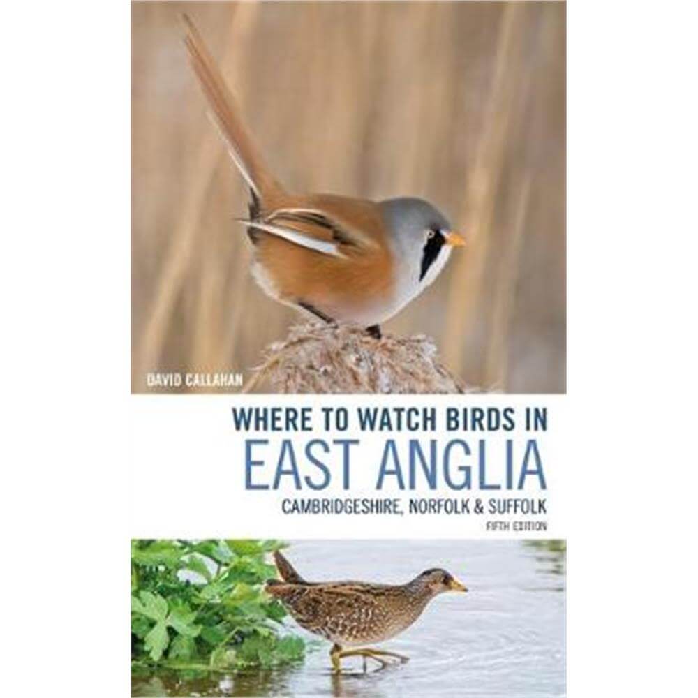 Where to Watch Birds in East Anglia (Paperback) - David Callahan